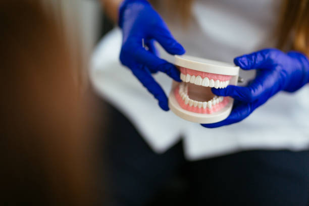 Bonnie Brae, IL Dental Services Company